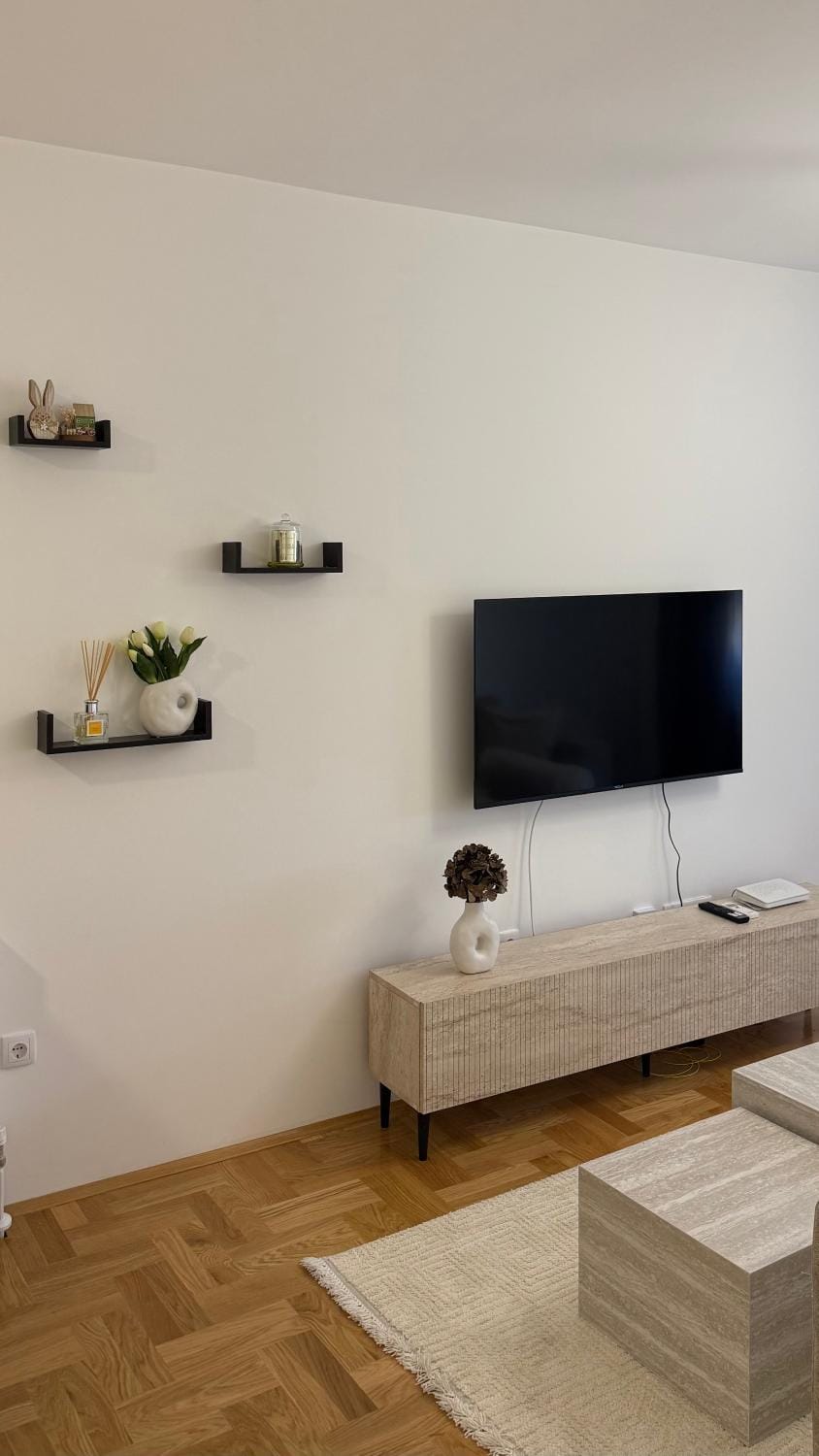 TV and multimedia