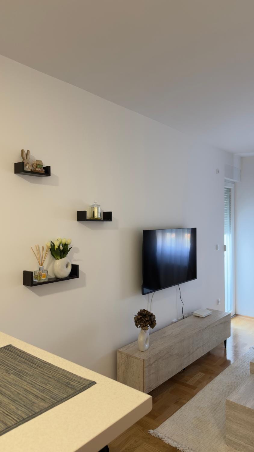 TV and multimedia