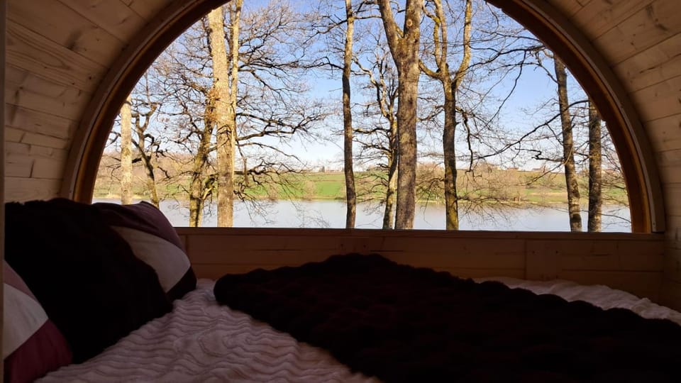 Bed, Natural landscape, Photo of the whole room