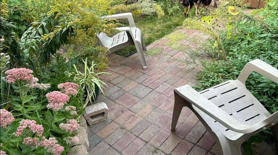 Patio, Garden view