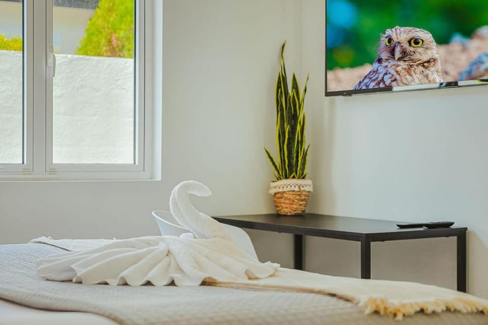 Walk to Beach - Private Pool Villa Villa in Noord