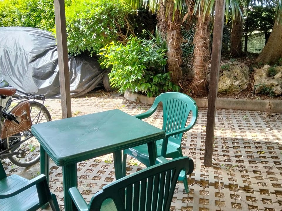 Garden view