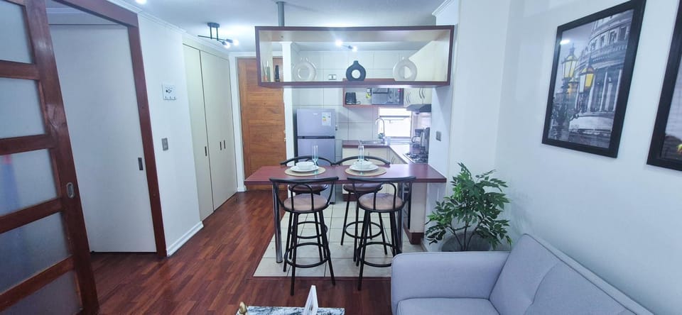 Cozy and spacious in the best location in Santiago de Chile Apartment in Providencia
