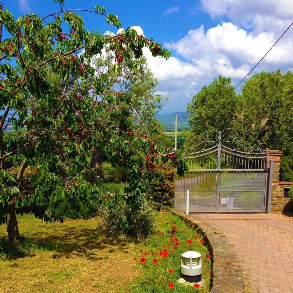 Le Coste LT Apartment in Tuscany