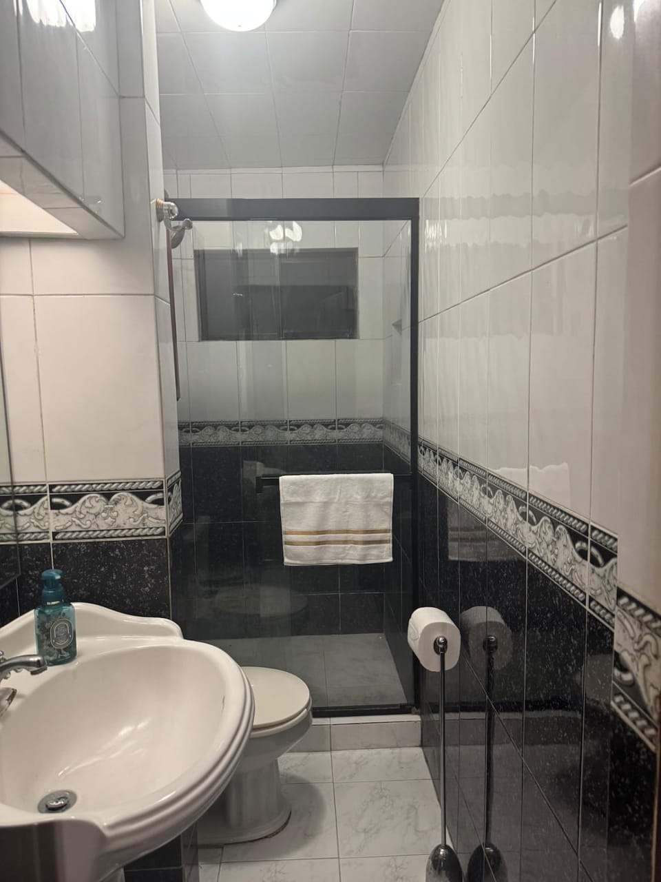 Apartment with a royal heart, green park and hills Apartment in Monterrey