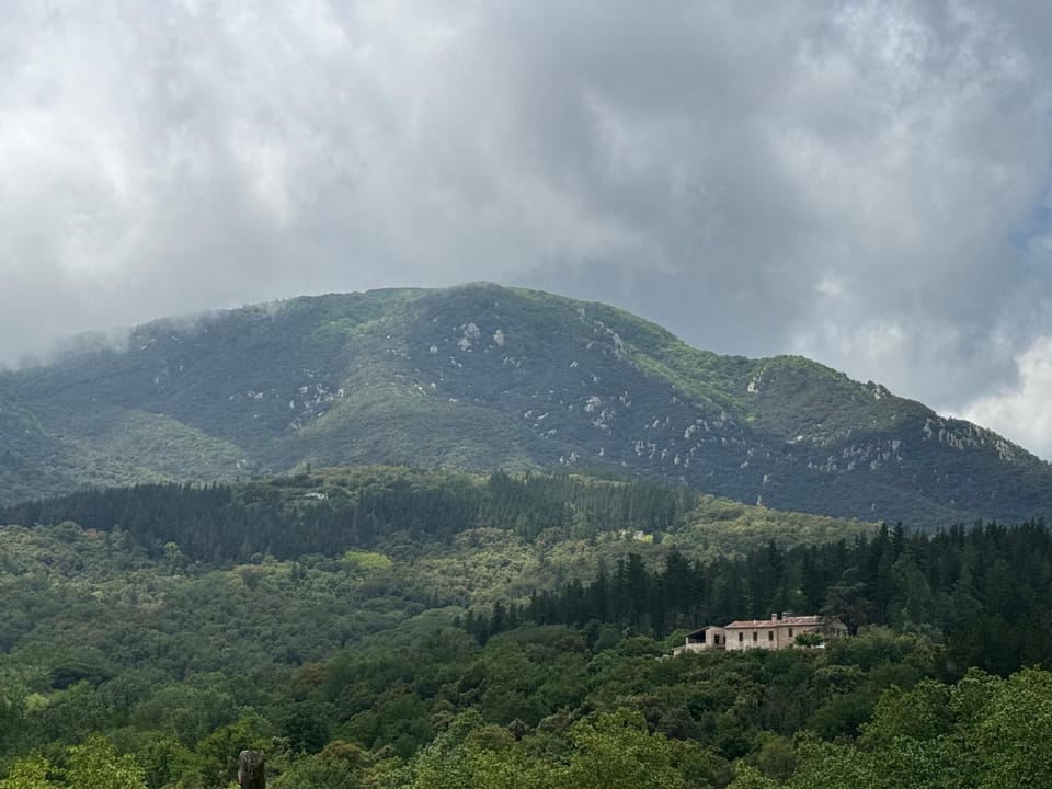 Masia de Can Roig Farm Stay in Vallès Oriental