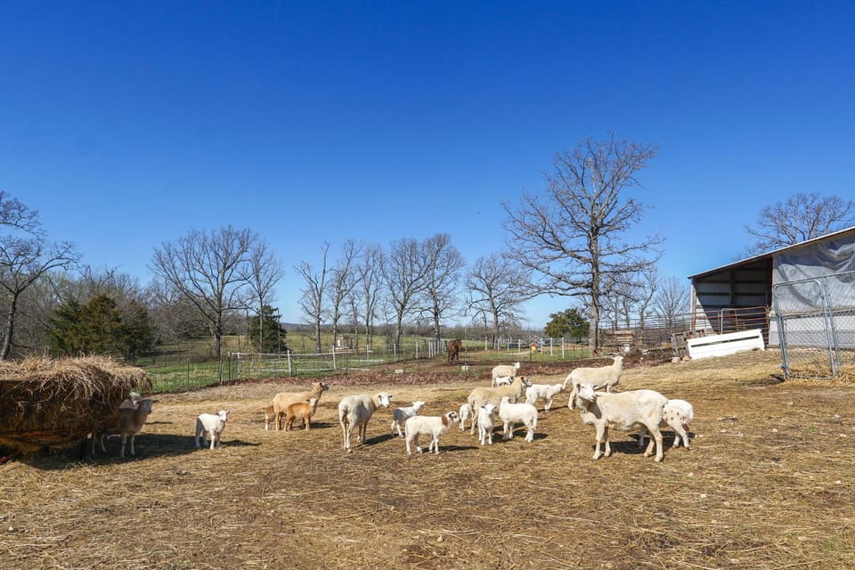 Richland Home on Multi-Unit Farm: Fish, Hike! House in Ozark Mountains