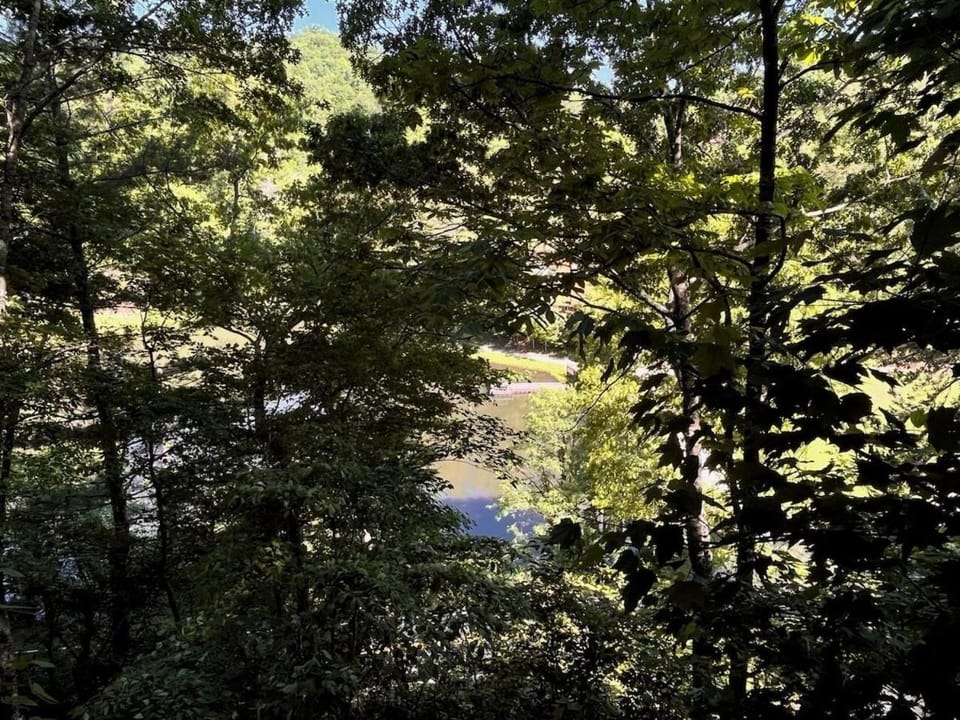 Lake view