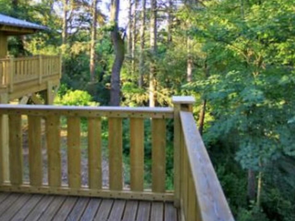 Cabane dans les arbres - 4 pers. - API-1-52-2114 Campground/ 
RV Resort in Albi