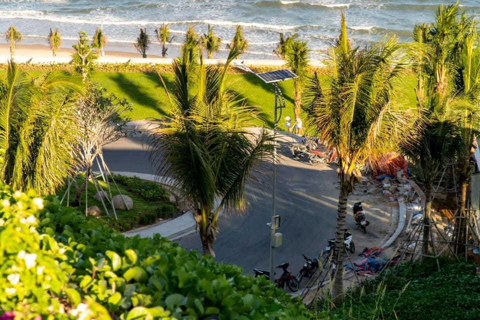 Neighbourhood, Bird's eye view, Garden, Sea view