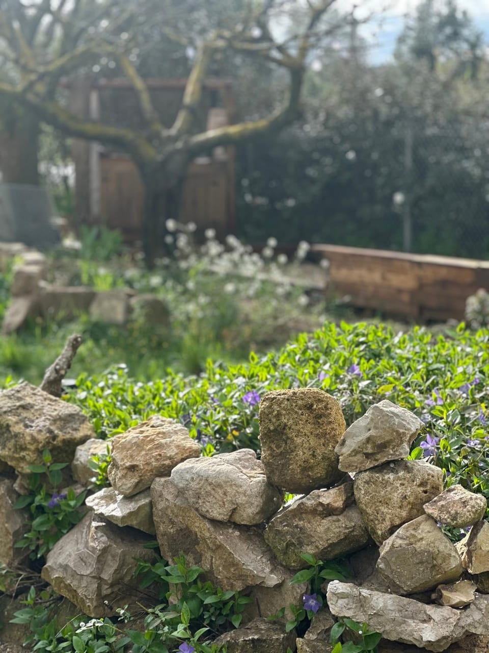 Garden, Garden view