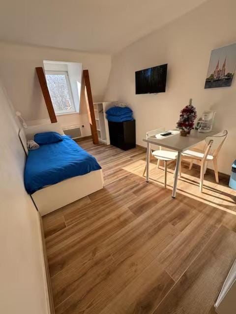 Studettes Vauban Apartment in Strasbourg