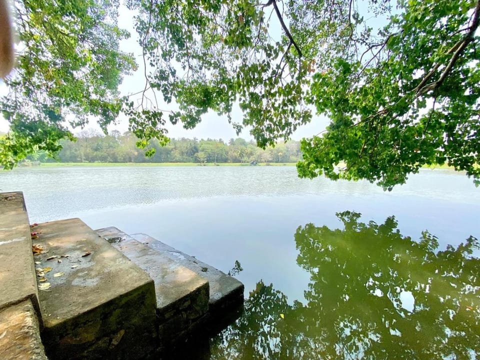 Strictly Vegetarian only Coconut Farm House Peaceful 2BRK Nature Retreat House in Kerala