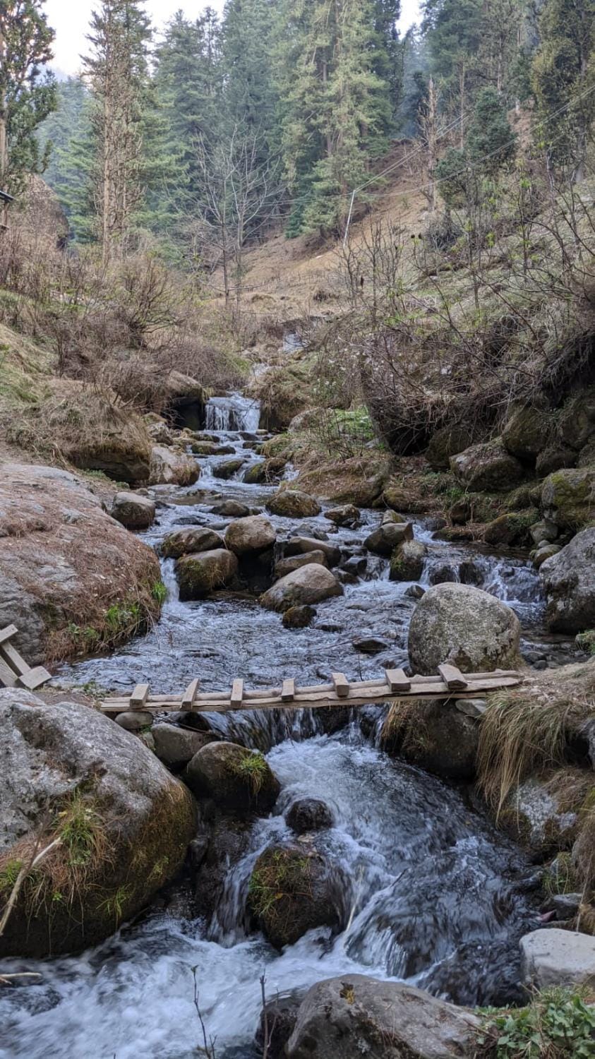 Rustic Himalayan Stay Apple Orchards Fairy Forest Chalet in Himachal Pradesh