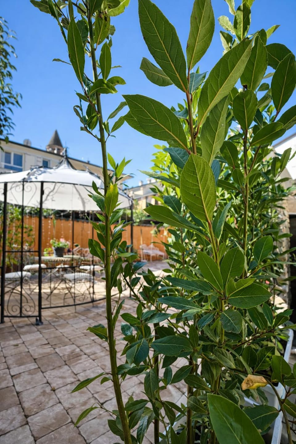 Inner courtyard view