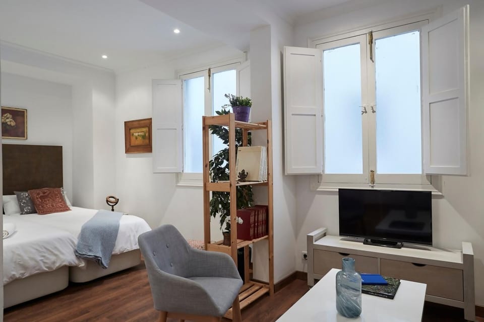 Estudio Alcalá-Retiro II Apartment in Madrid