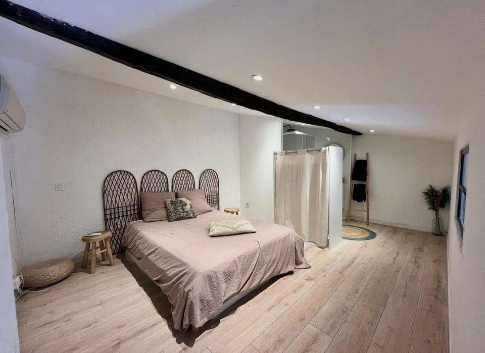 T4 proche centre et stade de Rugby Apartment in Perpignan
