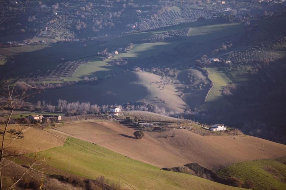 Natural landscape
