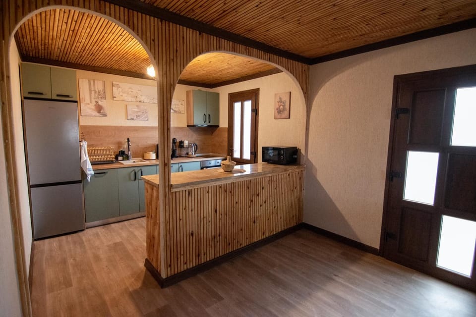 Kitchen or kitchenette, minibar, oven