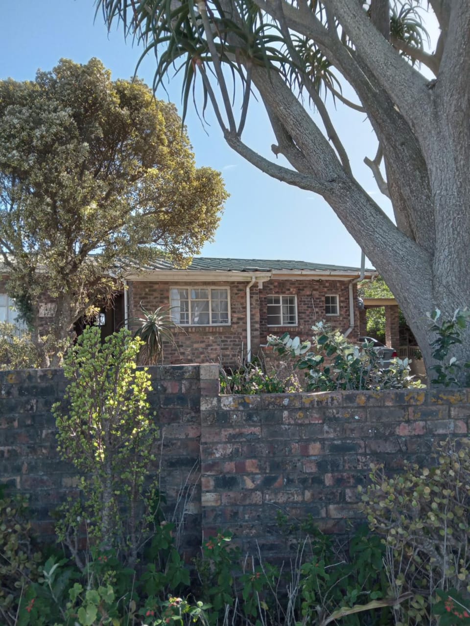 Property building, Garden, Garden view