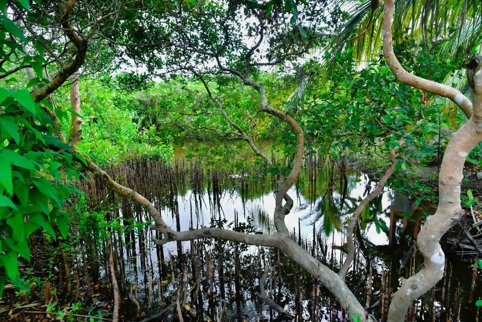 Maiya Wild Ship Villa Bed and Breakfast in Southern Province