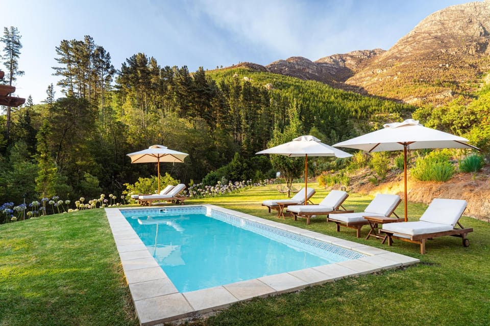 Garden, Pool view, Swimming pool, Swimming pool