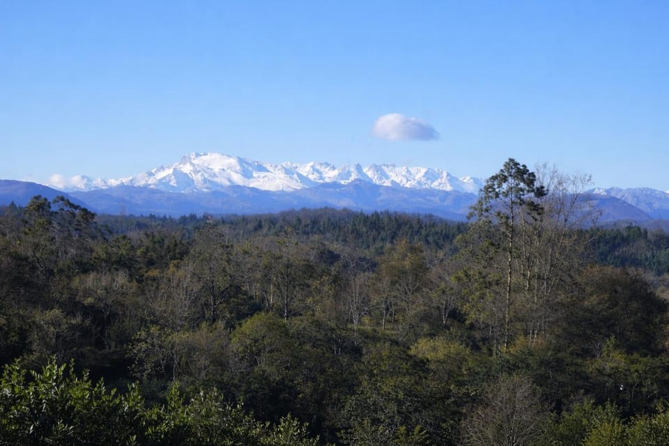 Mountain view