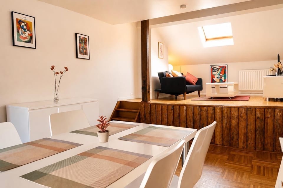 Le Perchoir de Picasso Nancy Gare Cosy sous les toits 3 Pers Apartment in Nancy