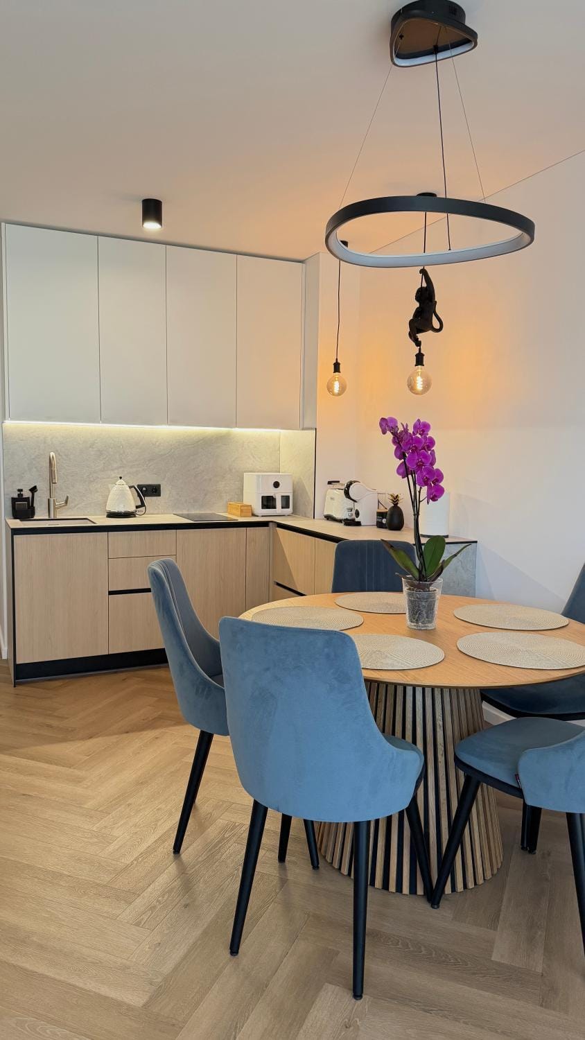 Modern Apartment With Terrace Palanga Apartment in Palanga