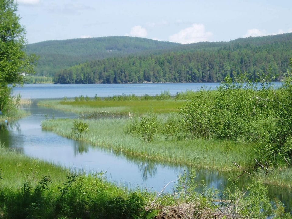 Lake view