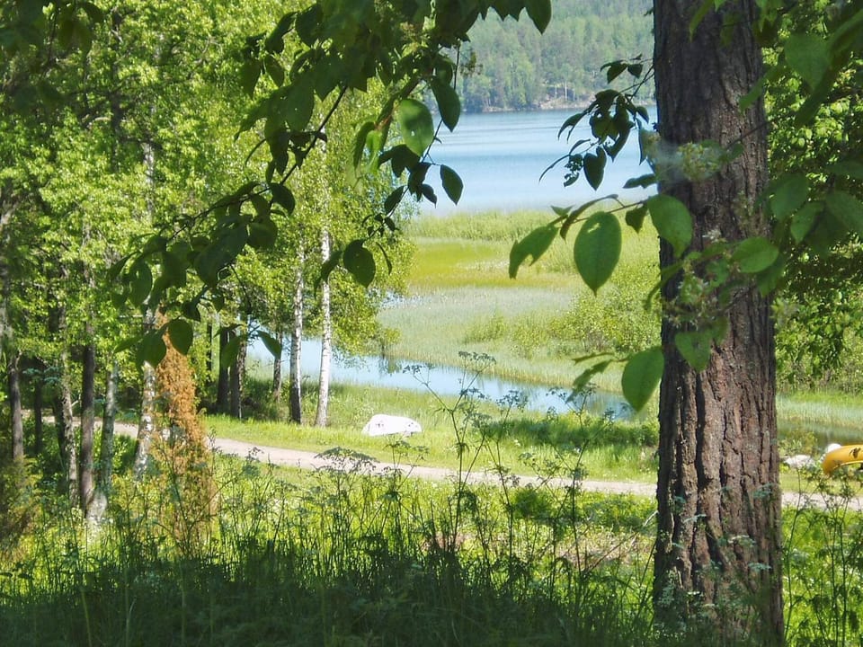 Lake view