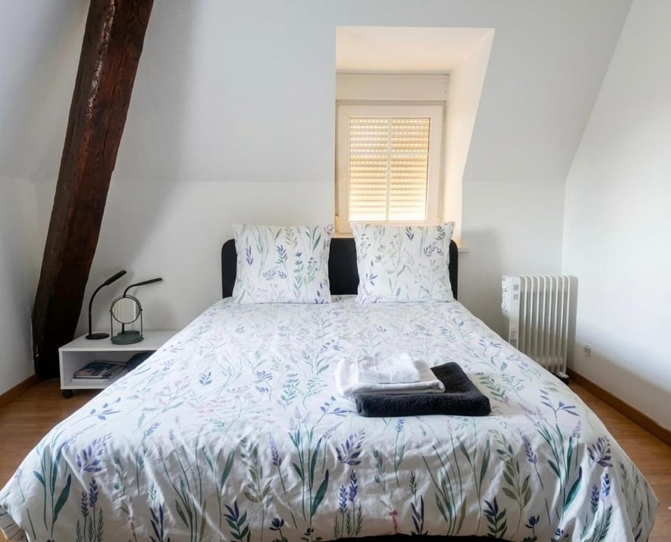 Doux Pavillon La Tourelle Apartment in Mulhouse