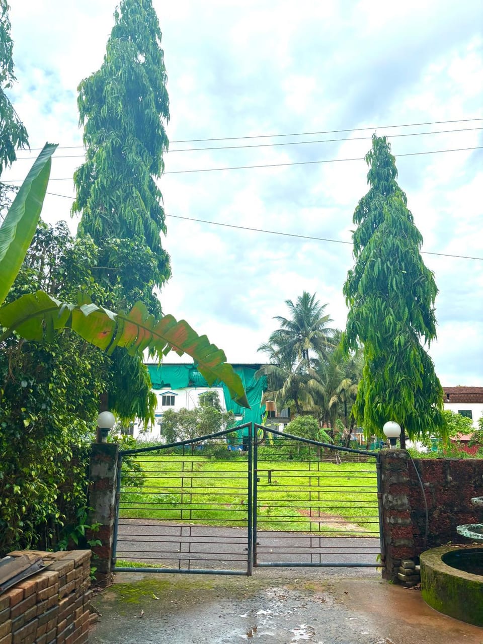 Day, Garden view