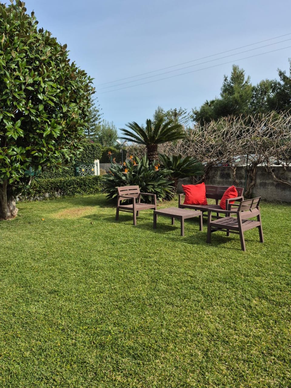 Property building, Garden
