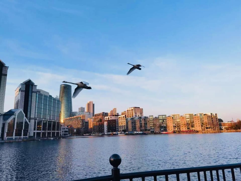 Nearby landmark, Day, Lake view, River view, Sea view