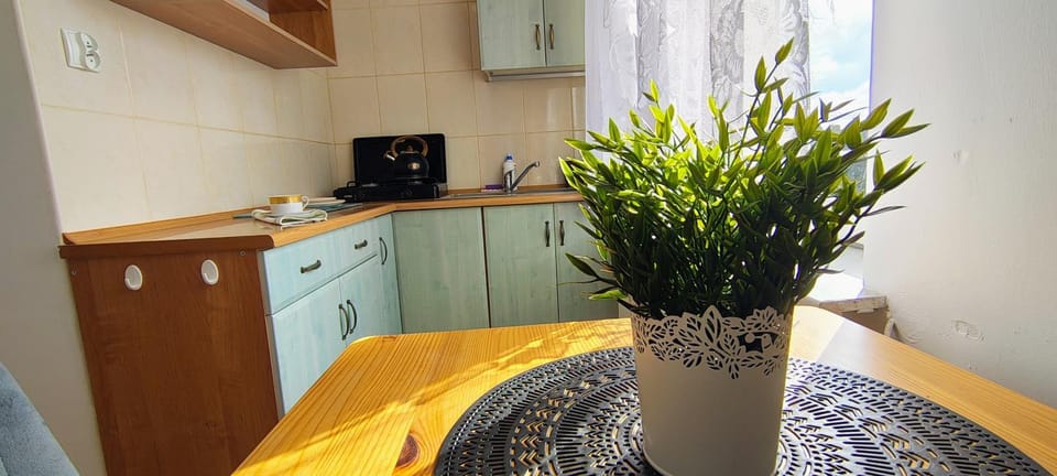 Pokój 1-osobowy Ambelia Vacation rental in Pomeranian Voivodeship
