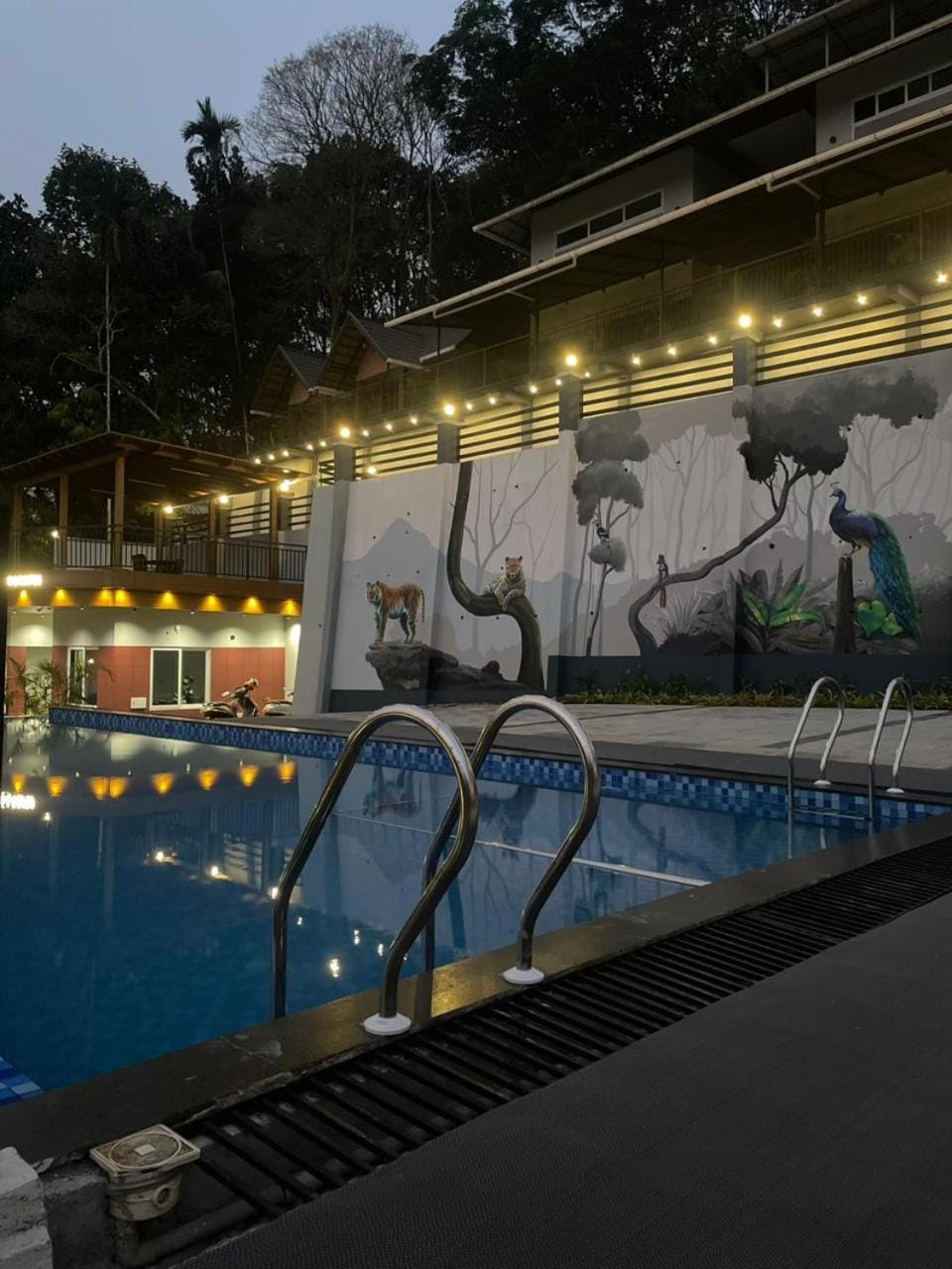 Swimming pool