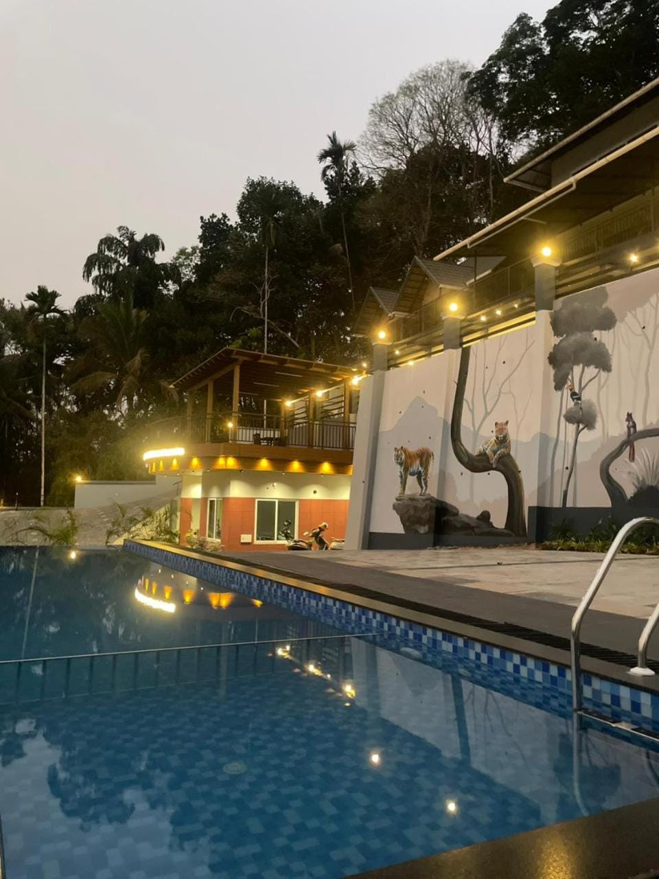 Swimming pool