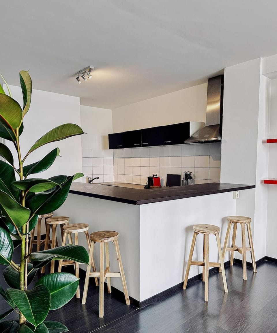 centerapartmentwalktoeverything Apartment in Ghent