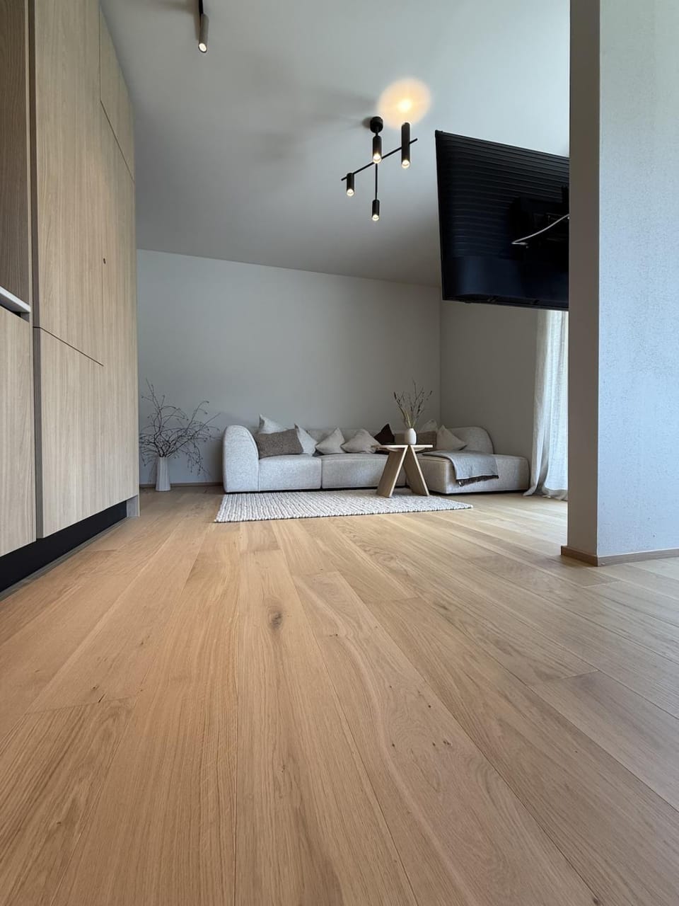 TV and multimedia, Living room