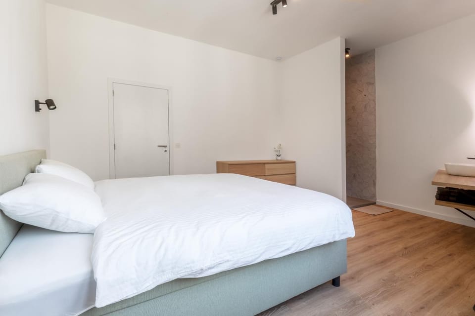 Spacious apartment with a view of the Cathedral Apartment in Antwerp