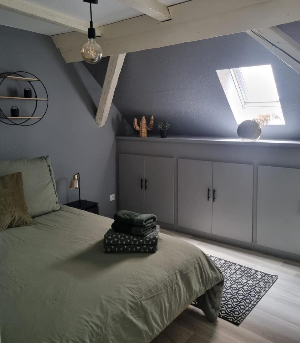 Bel appartement hyper centre Apartment in Sélestat