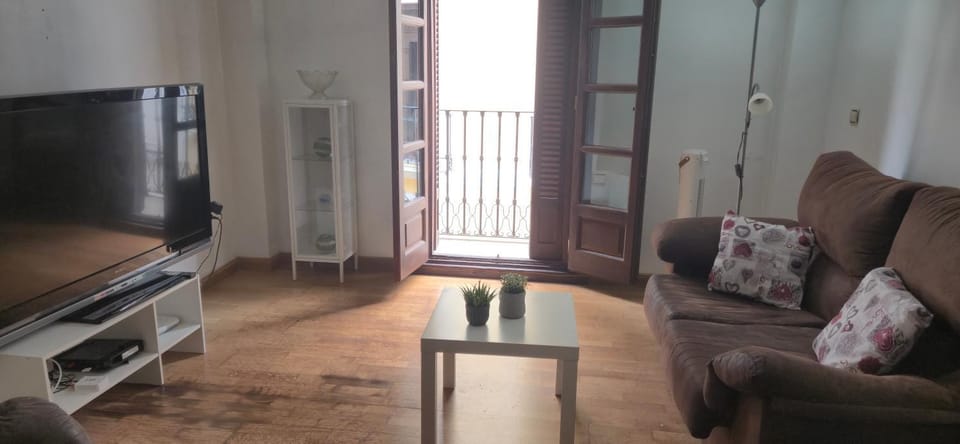 Mesones Granada Centro Apartment in Granada