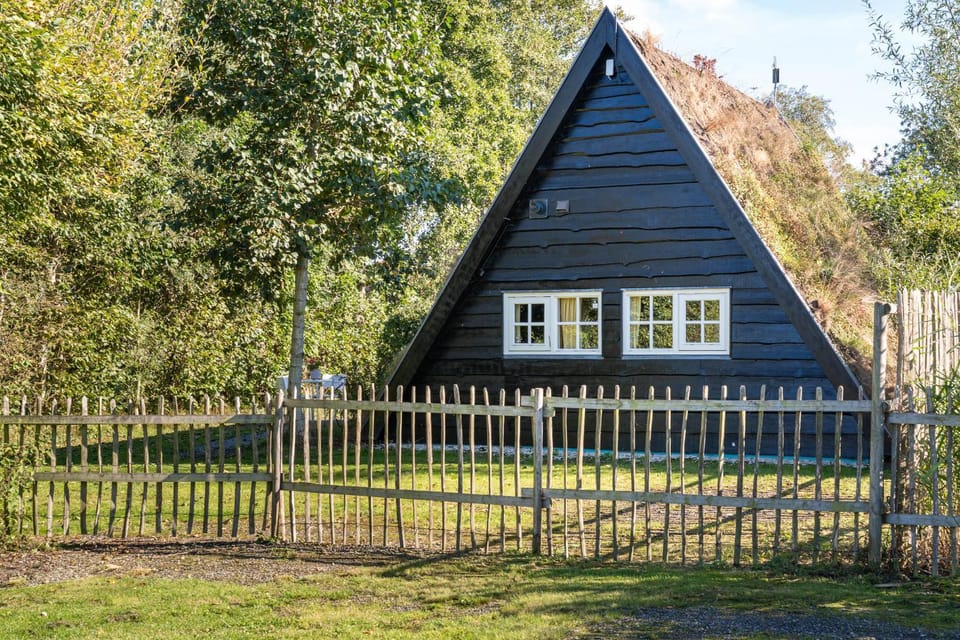 Property building, Garden, Garden view