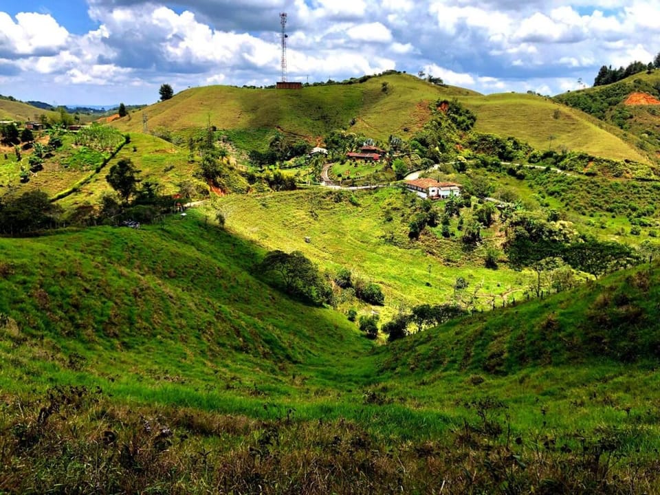 Day, Mountain view