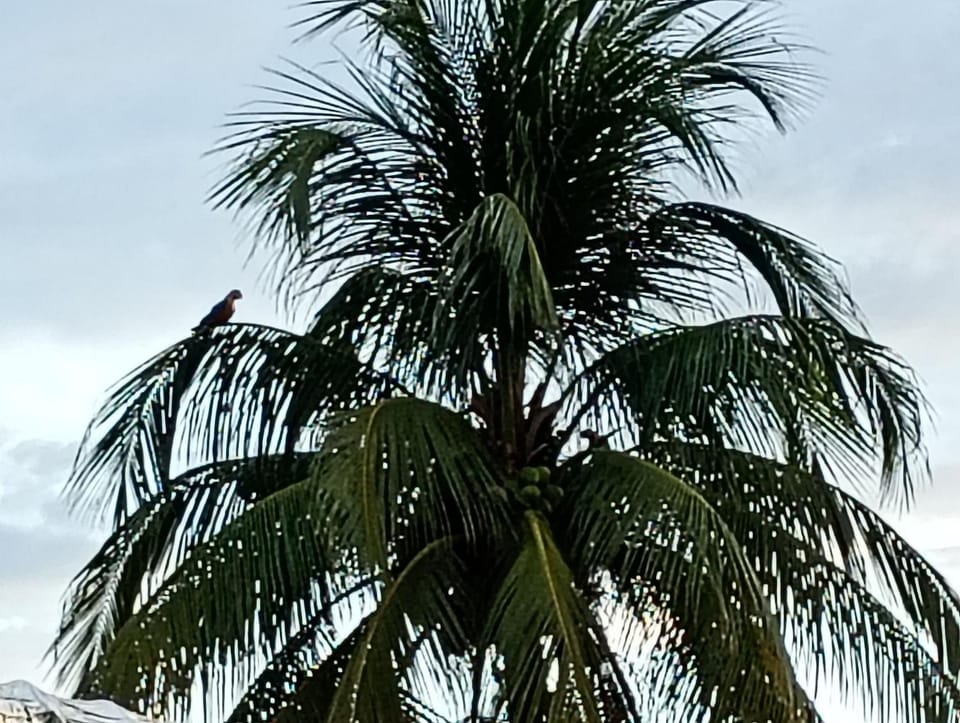 Natural landscape