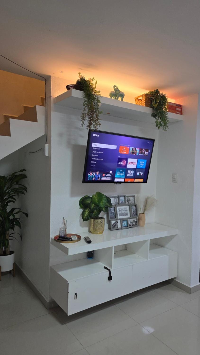 TV and multimedia