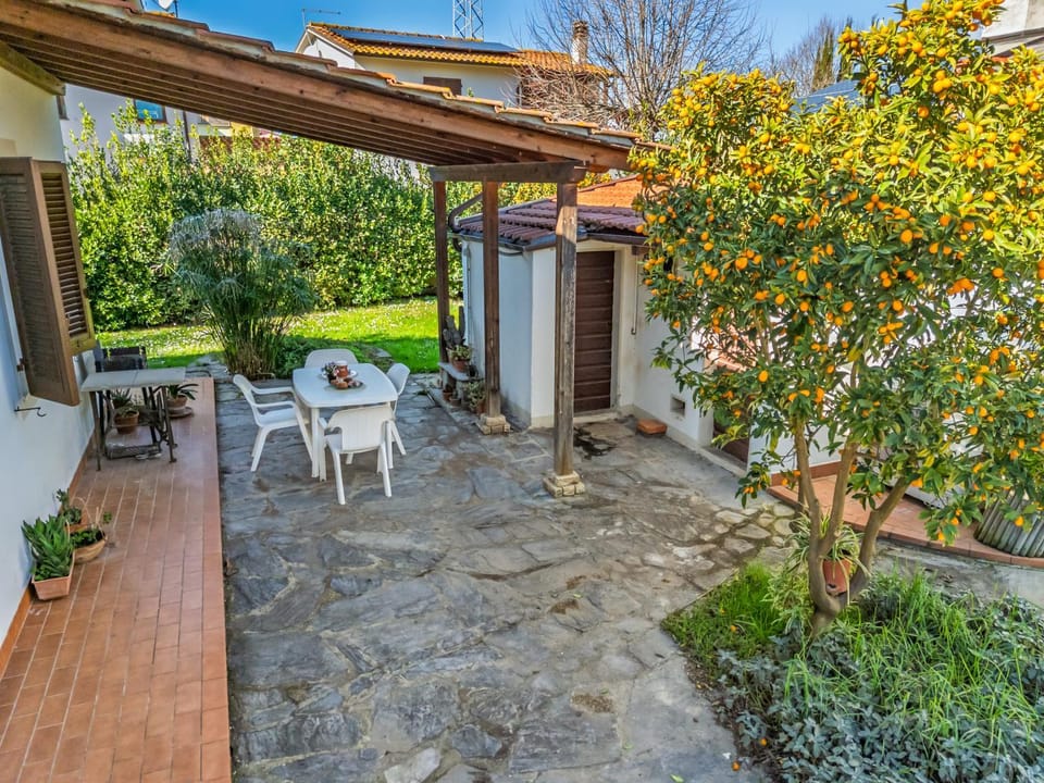 Garden, Dining area
