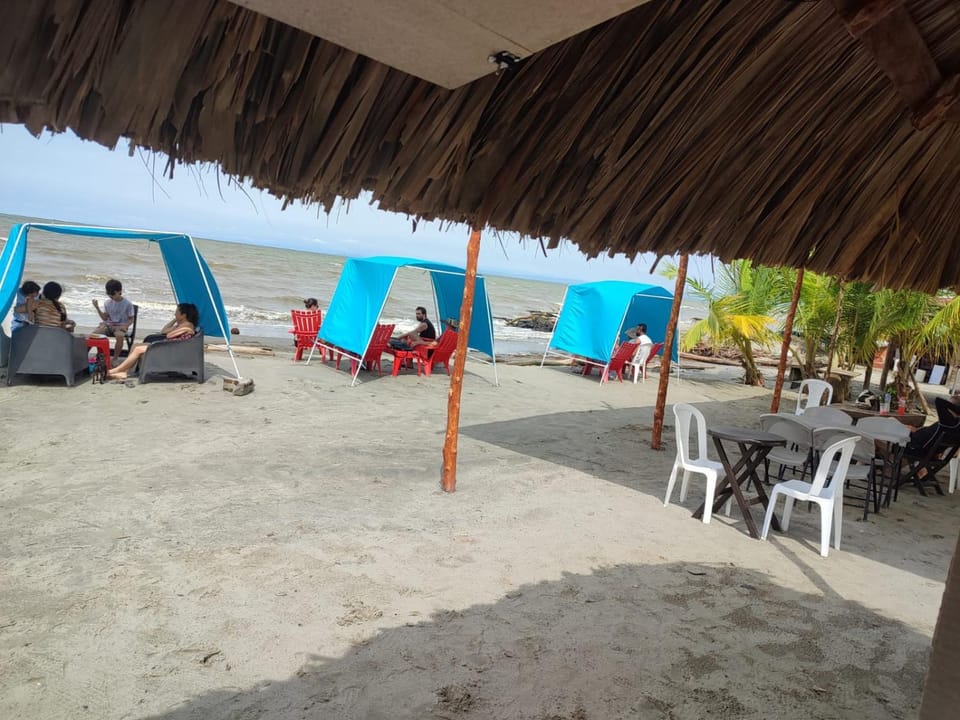 Hotel Boutique Primavera Beach Hotel in Choco, Colombia