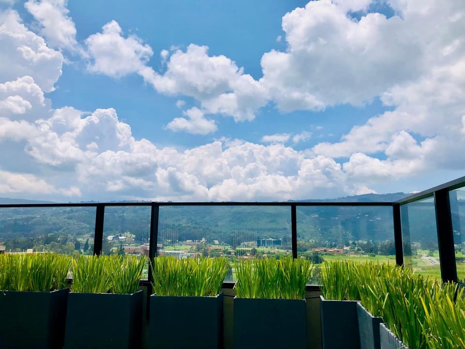 Mountain view